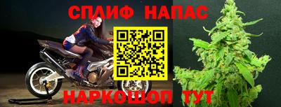 сатива Краснодар